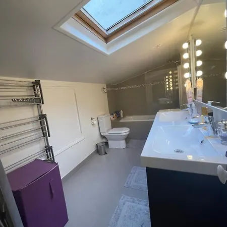 Daire Duplex De Charme Paris